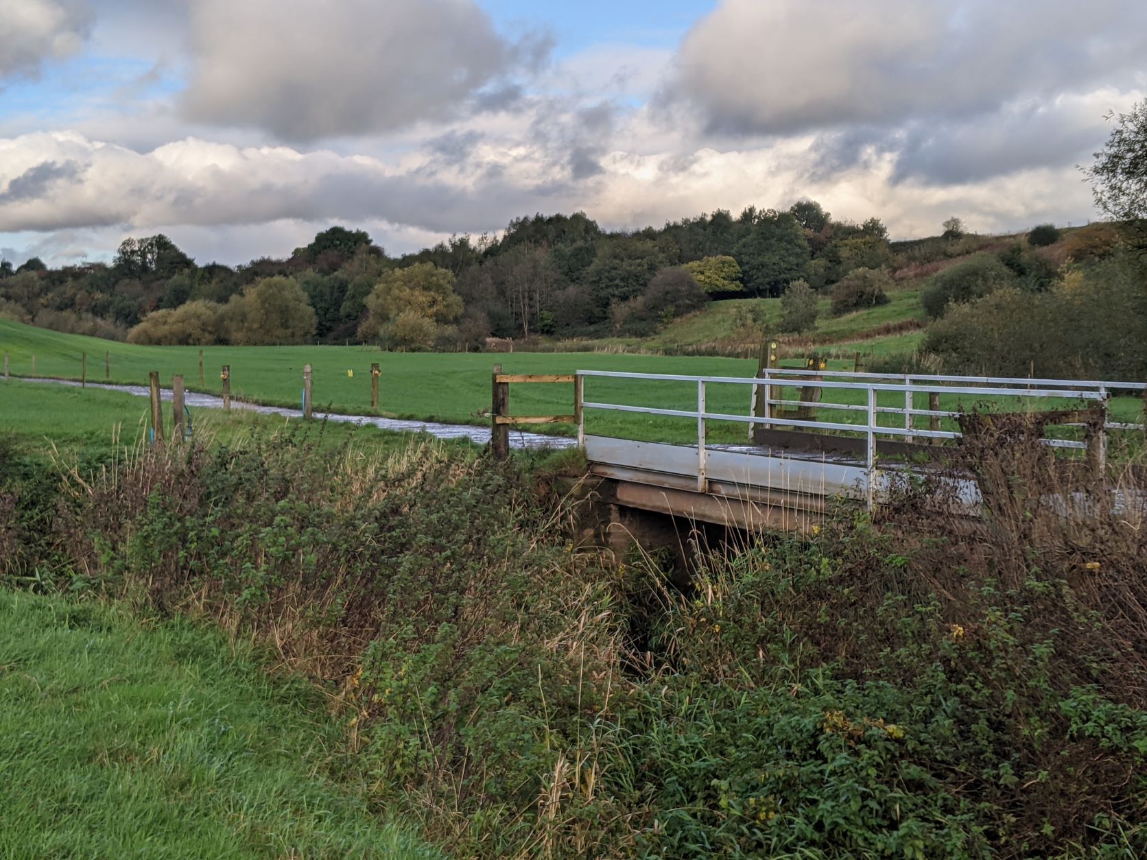 Autumn tints near Brine Pits farm, October 20th